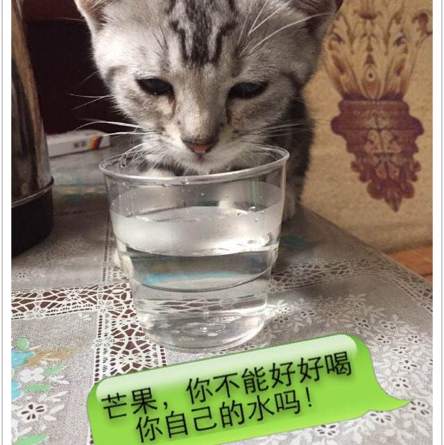 南港学院硕士offer